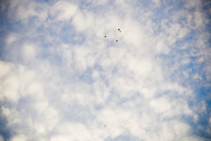 LAPIDphoto 0241 C0G8690