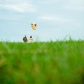 LAPIDphoto 0176 C0G8475