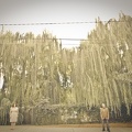 LAPIDphoto 0015 C0G7763