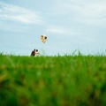 LAPIDphoto 0179 C0G8484