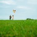 LAPIDphoto 0175 C0G8472